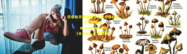 прущие крисы Бугульма