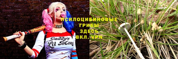 мдма Бородино