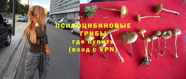 прущие крисы Бугульма
